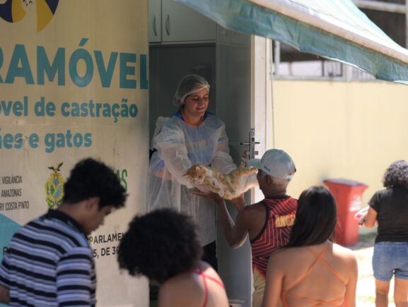 Sepet realiza castração de 300 animais em Barcelos