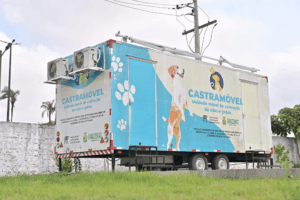 Imagem da notícia - Sepet abre agendamento nesta quinta-feira para castração de cães e gatos no bairro Alvorada 2