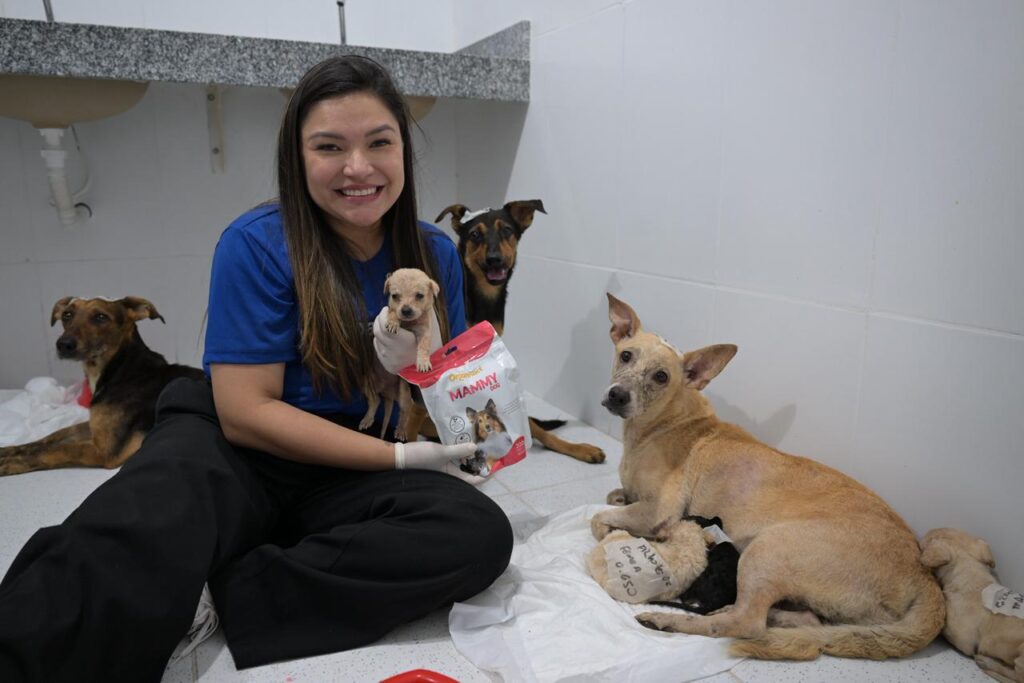 Divulgacao Sepet 1 1