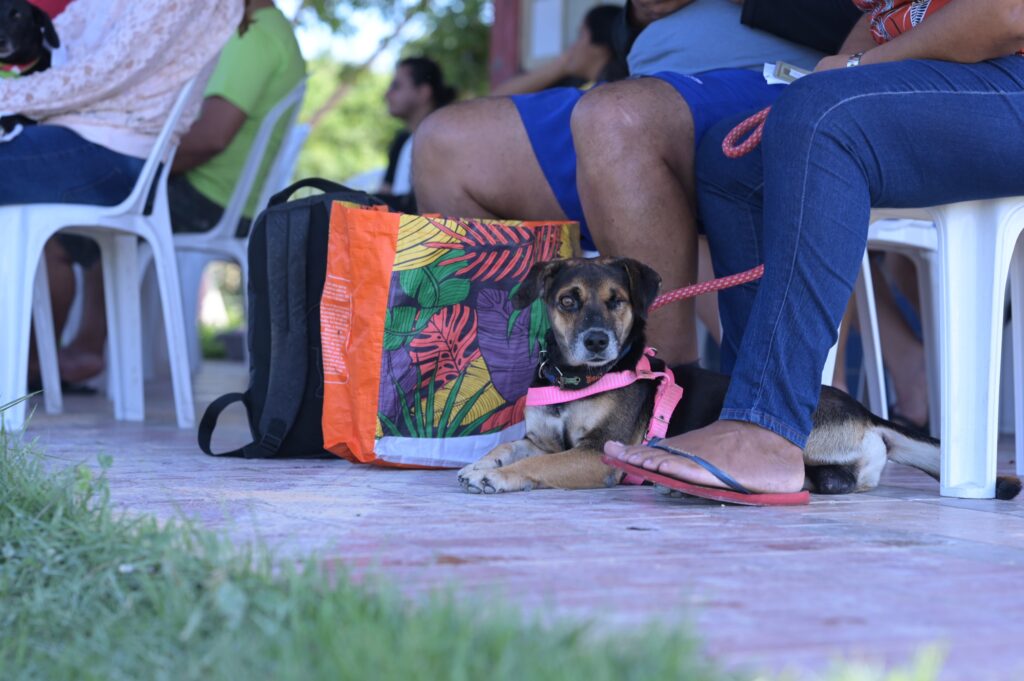 Divulgacao Sepet 1 2