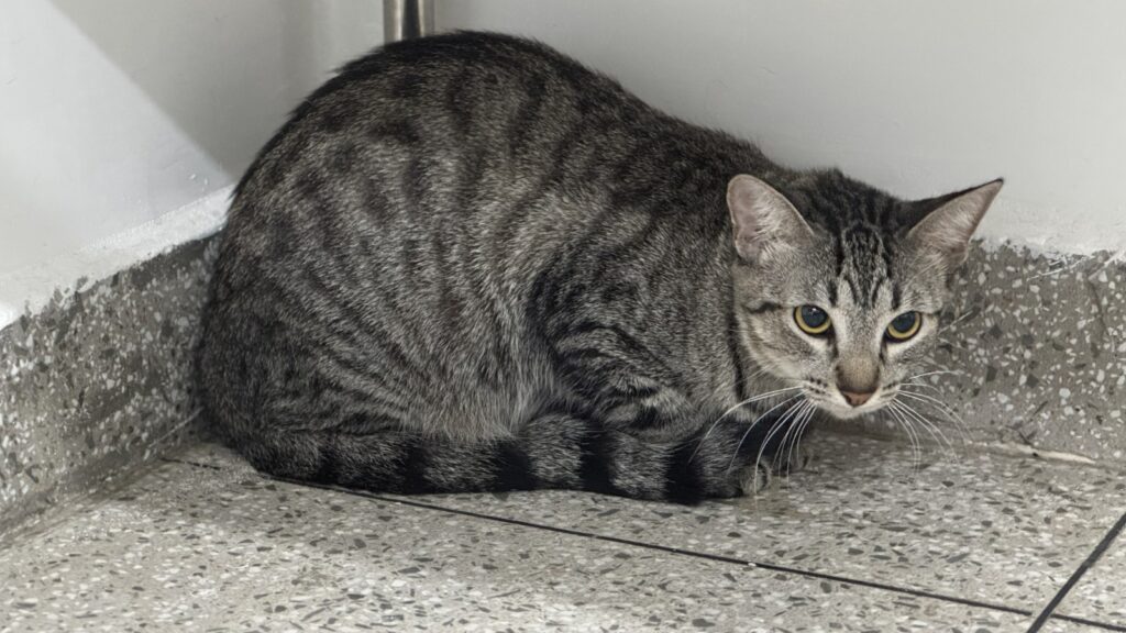 Divulgacao Sepet 1 8