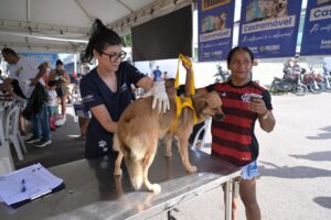 Imagem da notícia - Sepet-AM realiza agendamento do Castramóvel durante o Governo Presente no Educandos
