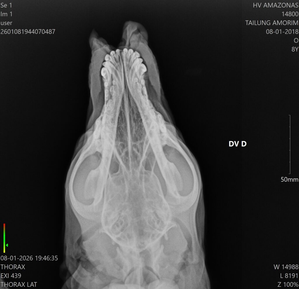 Divulgacao Sepet 2 5