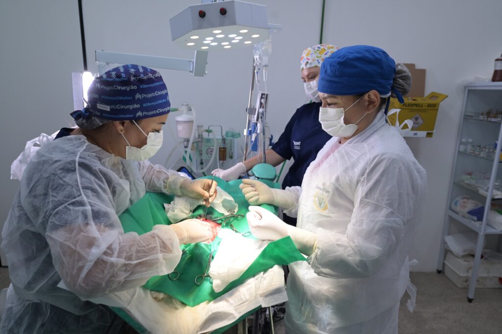 Divulgacao Sepet 3 1