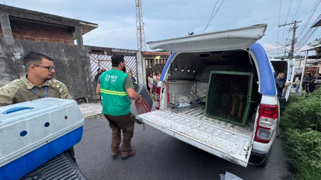 Divulgacao Sepet 6 1