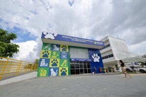 Imagem da notícia - Em 100 dias de funcionamento, Hospital Público Veterinário do Amazonas já atendeu mais de 15 mil animais