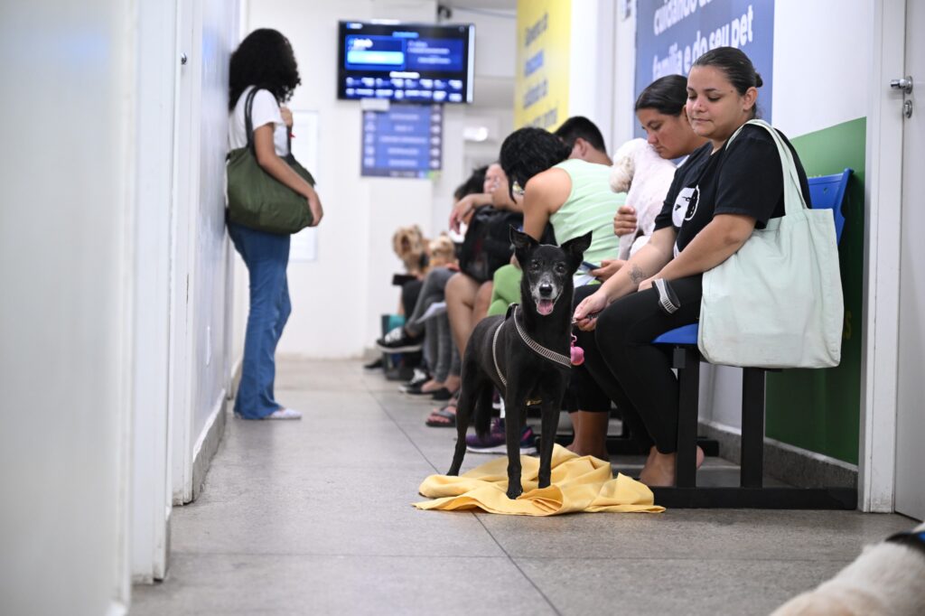 Divulgacao Sepet 3 2