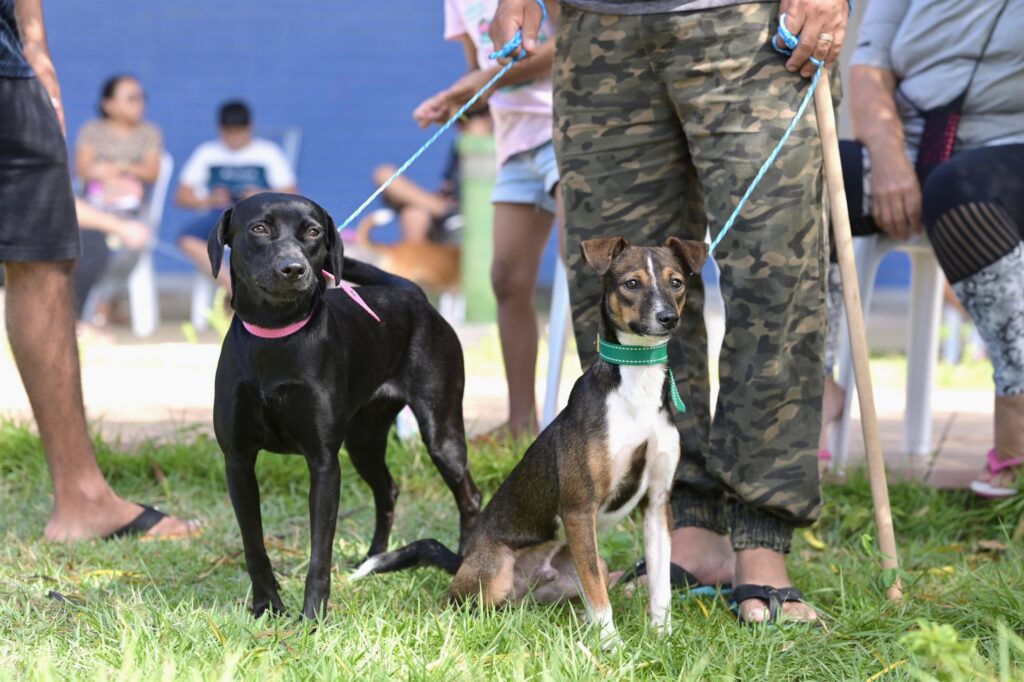 Divulgacao Sepet 3 3