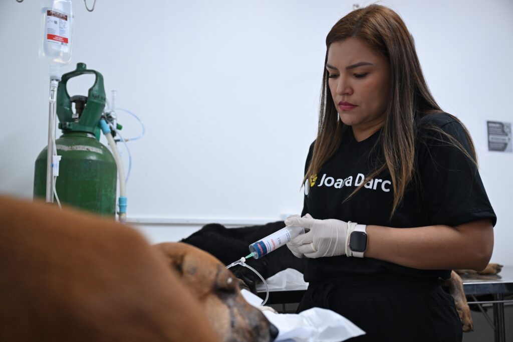 Divulgacao Sepet 4 1