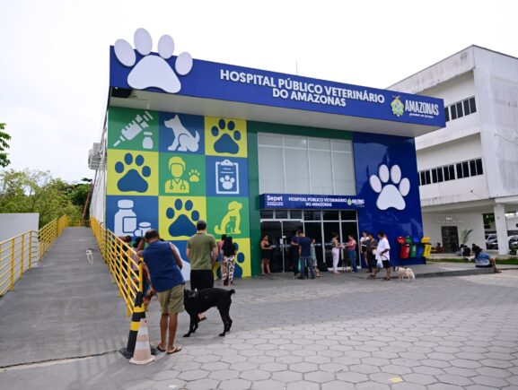 Hospital Público Veterinário: 26 mil animais atendidos em 5 meses de funcionamento
