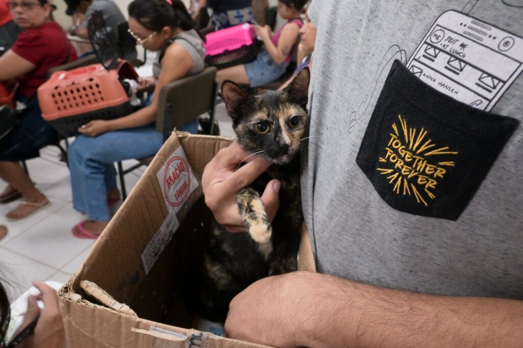 Sepet Divulgacao 2 10