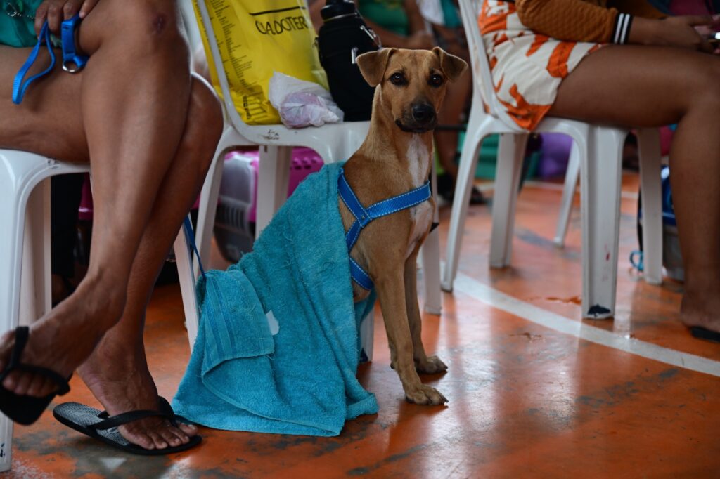 Sepet Divulgacao 2 5