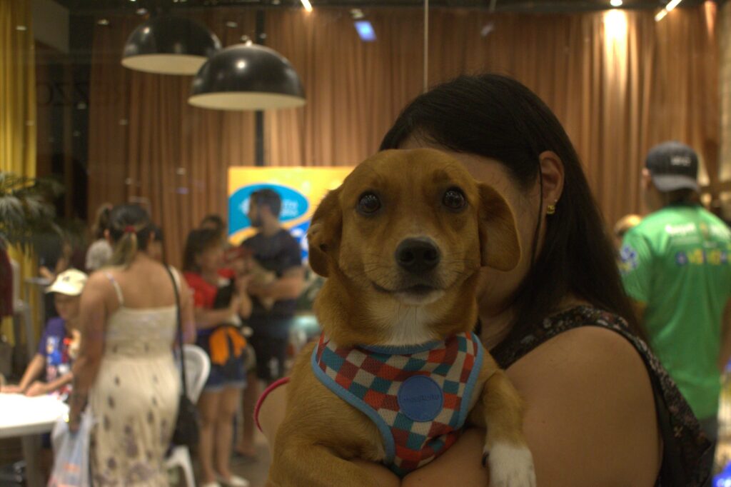 Sepet Divulgacao 2 6