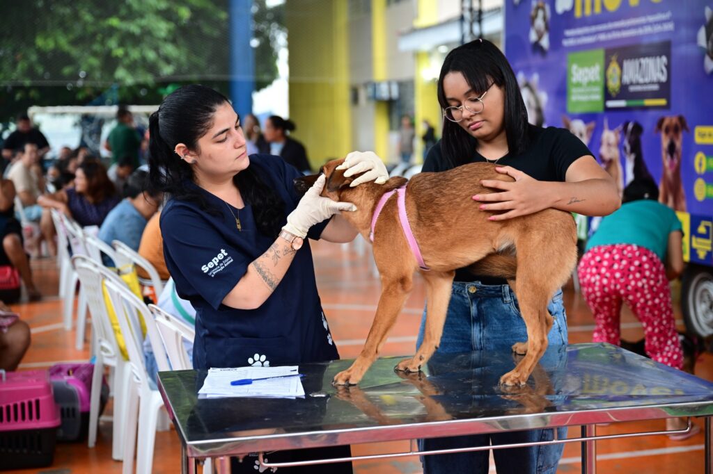 Sepet Divulgacao 3 1