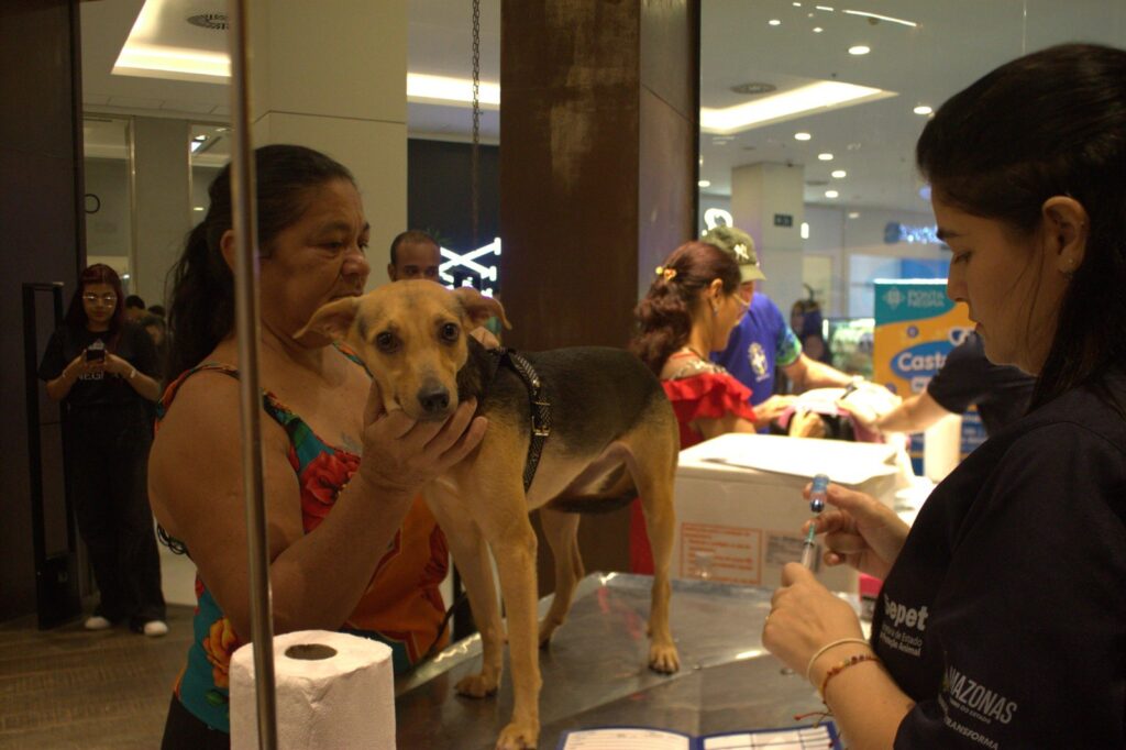 Sepet Divulgacao 4 2