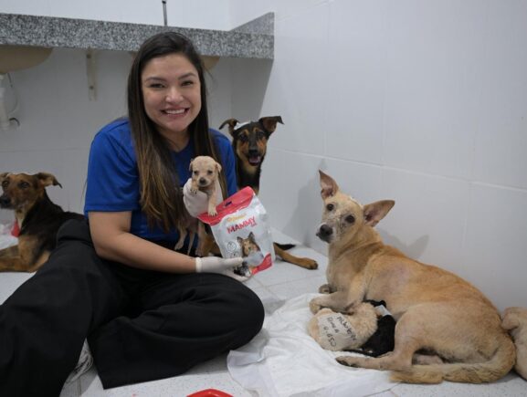 Sepet realiza evento de adoção e vacinação animal no Shopping Ponta Negra neste sábado