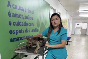Miniatura: Sepet completa um ano com mais de 56 mil animais beneficiados e avanço das políticas de proteção animal no Amazonas