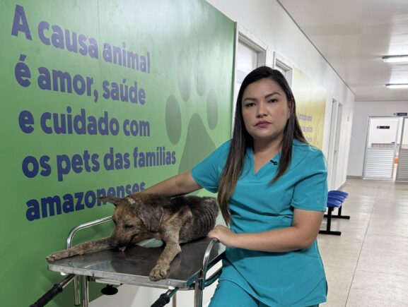 Sepet completa um ano com mais de 56 mil animais beneficiados e avanço das políticas de proteção animal no Amazonas