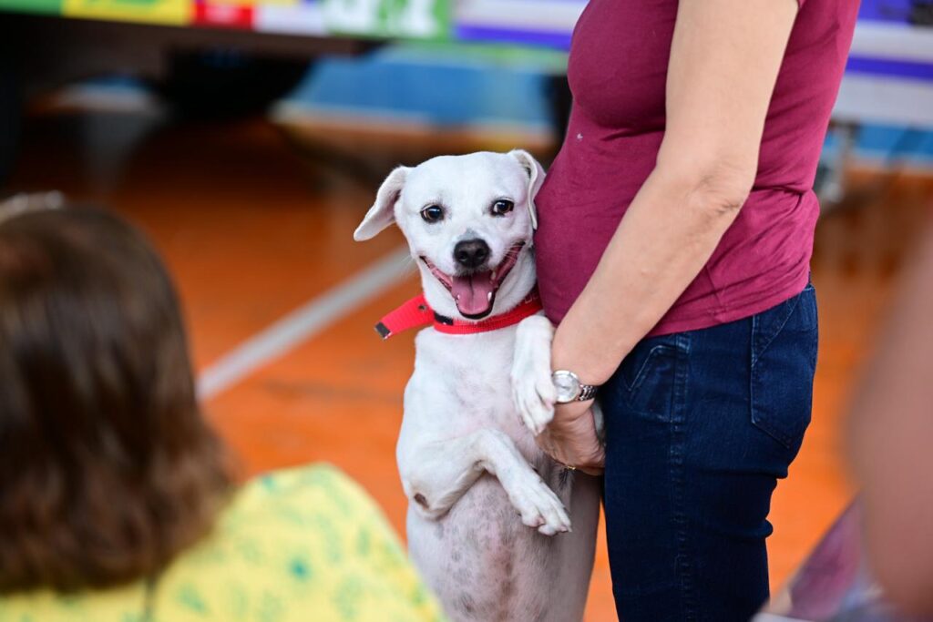 WhatsApp Image 2026 02 26 at 16.05.10 1