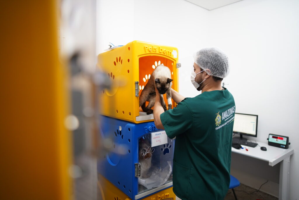 Sepet Divulgacao 2 11