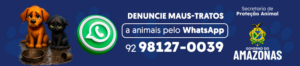 BANNER DENUNCIE MAUS TRATOS 823X181px